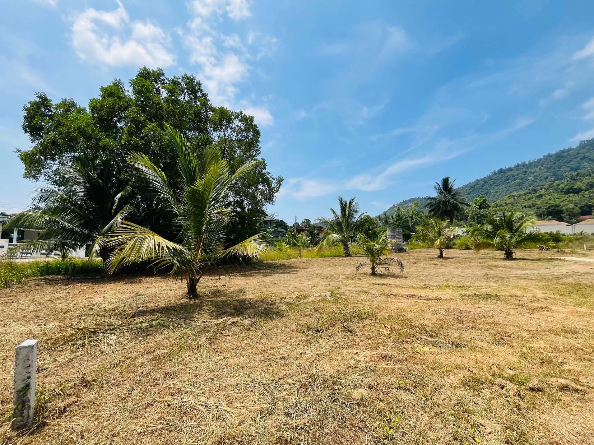 Land Plot for Sale in Lamai, Koh Samui!