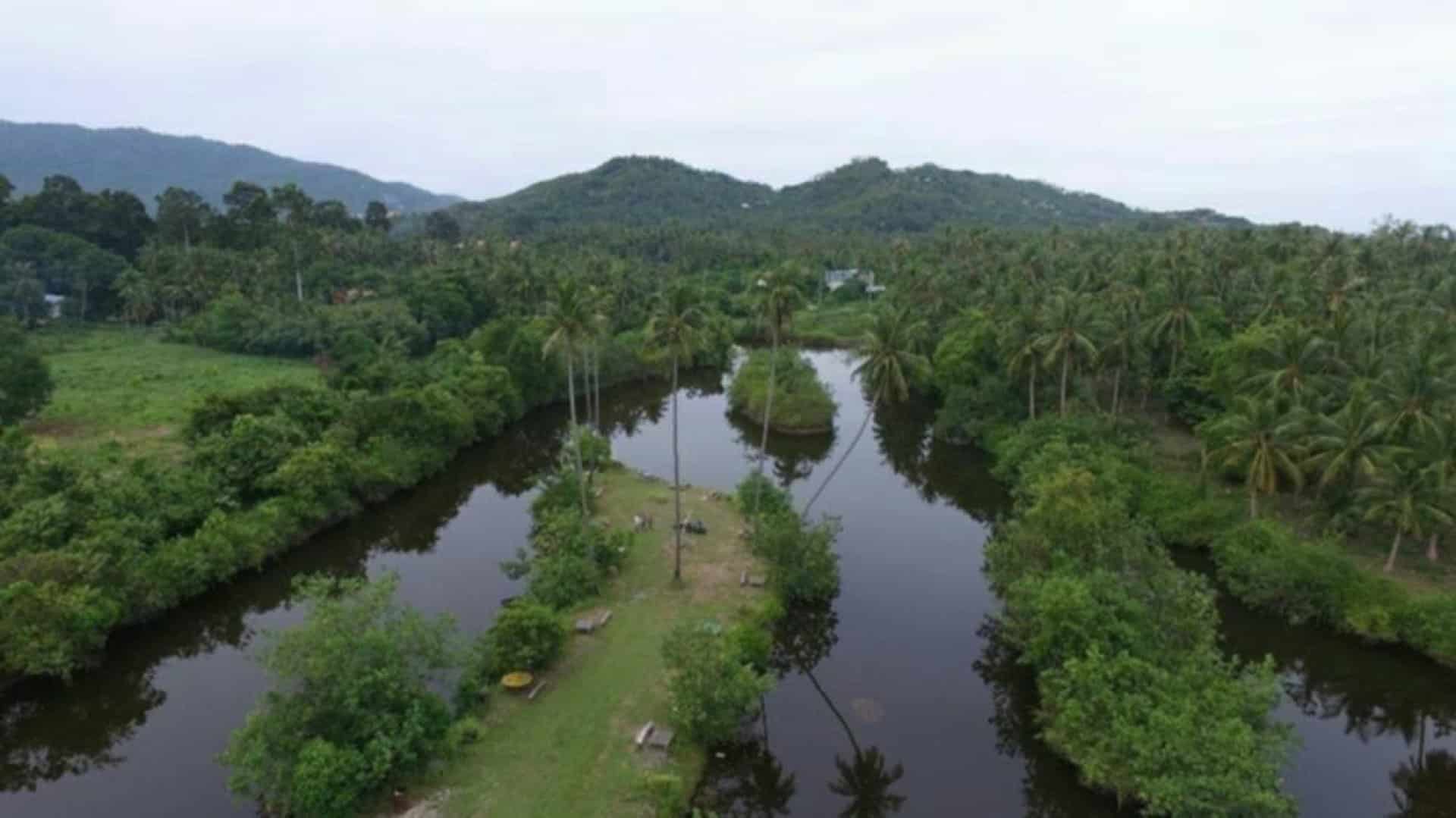 PRIME BEACHFRONT LAND FOR SALE – Bang Kao, Koh Samui