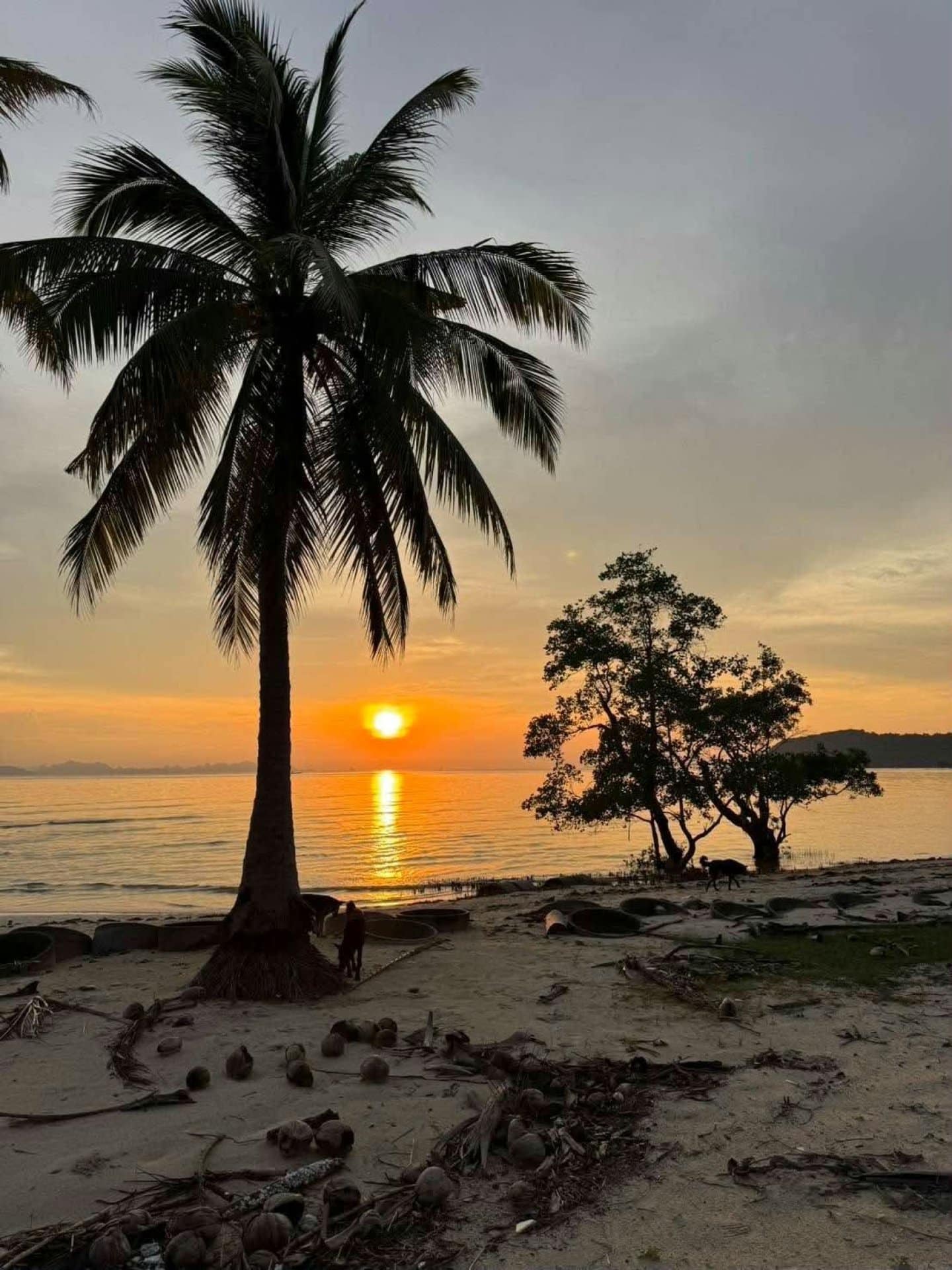 PRIME BEACHFRONT LAND FOR SALE – Thong Krut Beach, Koh Samui